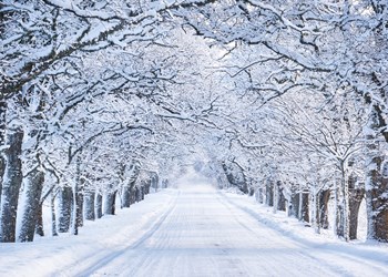 Festive Breaks