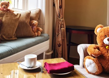 Teddy Bear Picnic