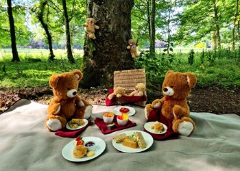 Teddy Bear Picnic