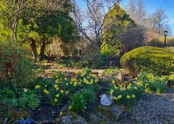 Spring Riverside Retreat